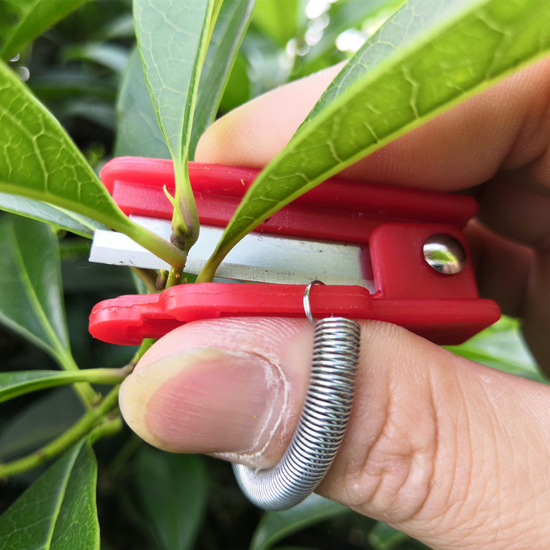 Title 4, Pinch Knife Fruit Thinning Artifact Pinch Point...