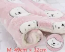 Pink Bear