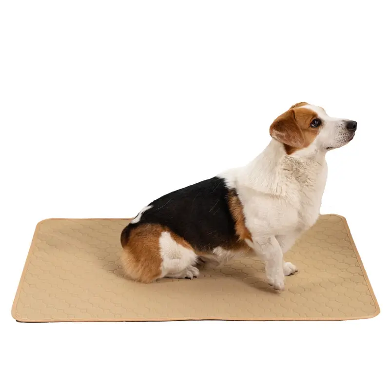 Pets Between the Pad Repeated Water Absorption Dog