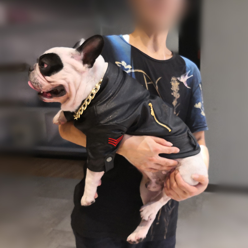 Pet Beauty and Fashion Brand Fashion Clothes Motorcycle Leather Clothing