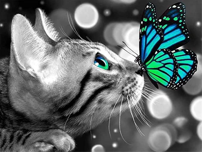 Diamond Painting Full Of Diamond Flowers Cat Butterfly Series