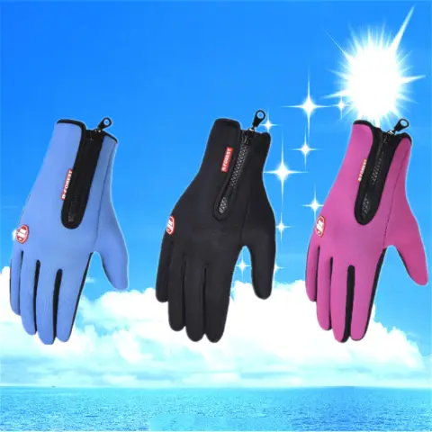 Winter Thick Warm Touch Screen Gloves