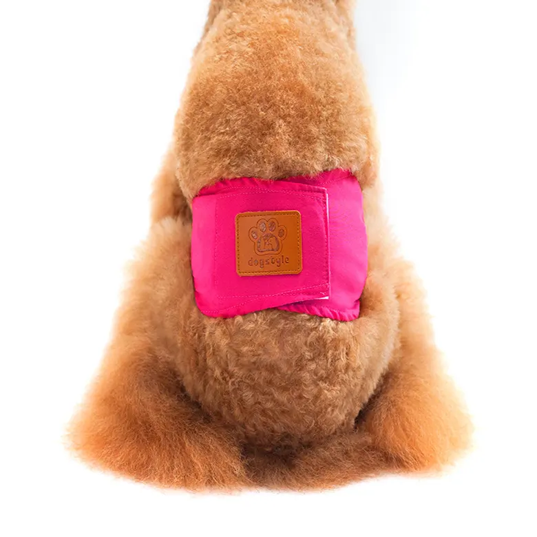 New Solid Color Physiology Pants for Male Dogs