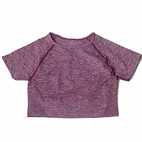 Yoga Short Suit Sports Suit Seamless and Quick Drying Sports Women Bean Paste - Shop at LoveMi