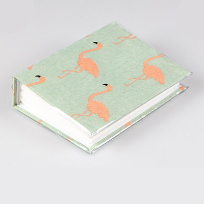 100 Albums With 6 Inch Plastic On Canvas  Children's Album Interstitial Album