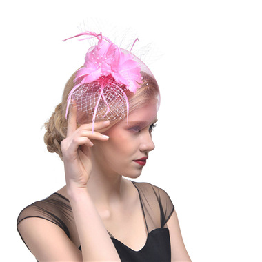 Title 5, Ladies Net Hairpin Feather Headdress Stage Hat