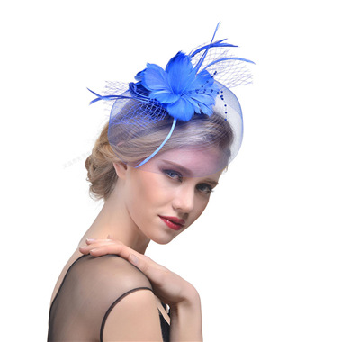 Title 10, Ladies Net Hairpin Feather Headdress Stage Hat