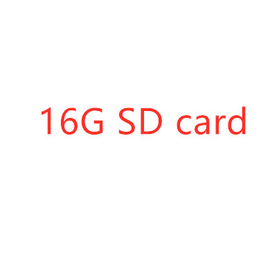 16GB SD card