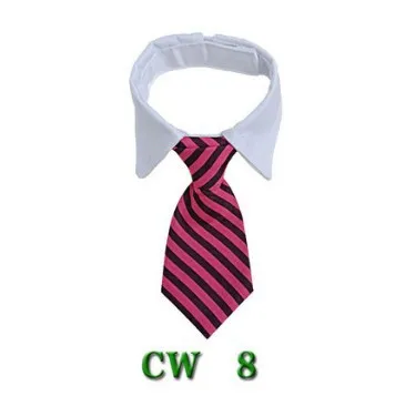 Pet Supplies Cat Clothes Cat Collar Bib False Collar Cw8 - Shop at LoveMi