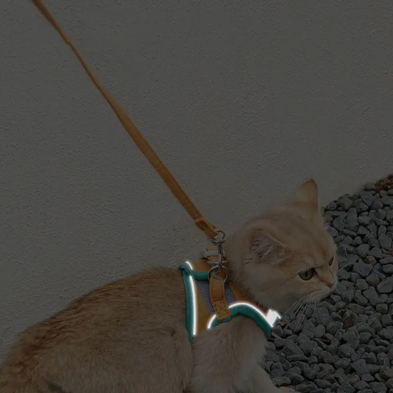Cat traction rope vest-style reflective chest strap to prevent breaking free and cute to go out