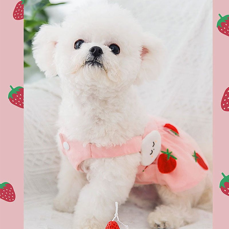 Title 5, Robe Princesse Fraise pour Chien Fine et Mignonne