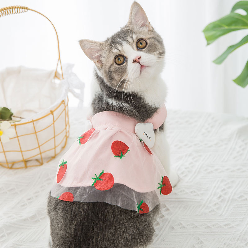 Title 3, Robe Princesse Fraise pour Chien Fine et Mignonne