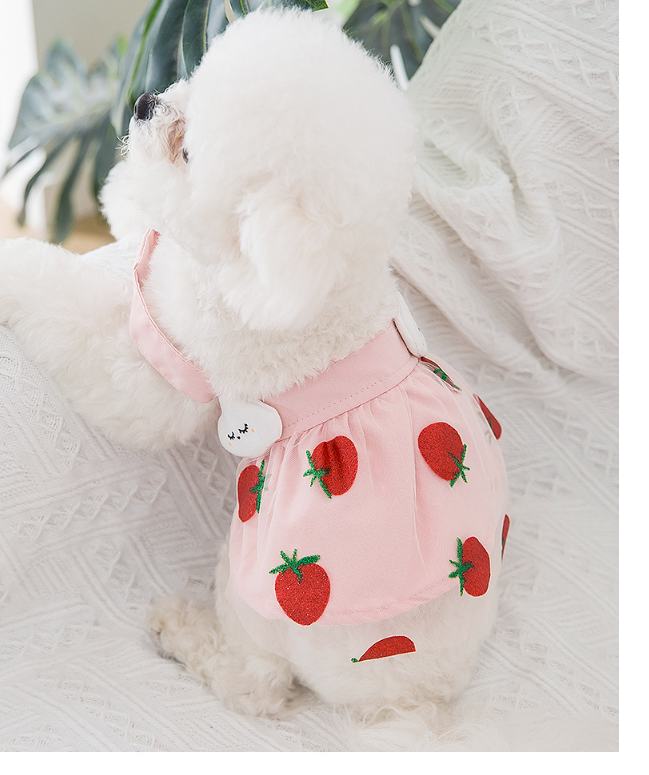 Title 4, Robe Princesse Fraise pour Chien Fine et Mignonne