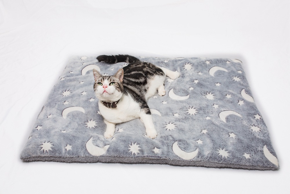  Thickened Pet Luminous Cushion
