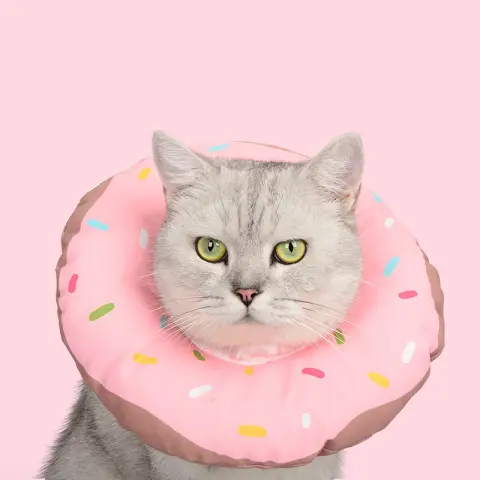 Cat Headgear Anti-lick and Bite Waterproof Soft Cloth Elizabethan