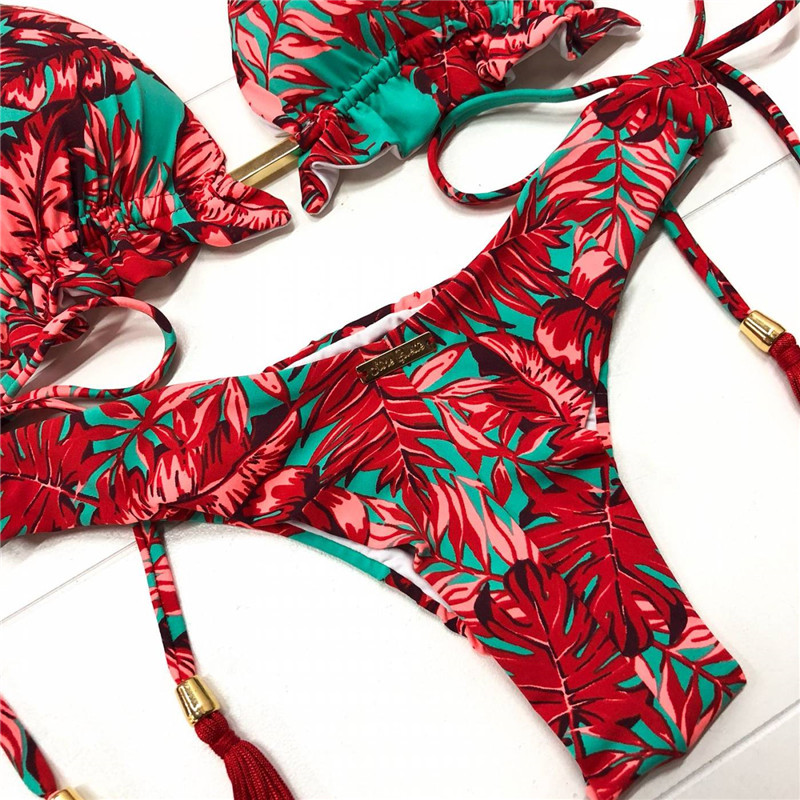 Red Print Split Bikini Swimsuit