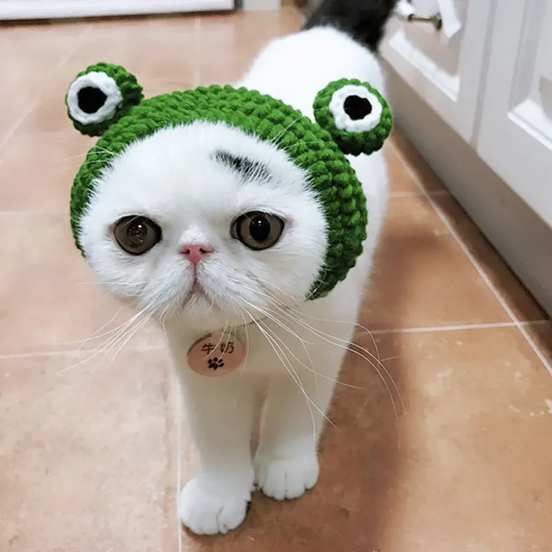 Cartoon Cross-Dressing Dog Cat Headgear Woolen Hat