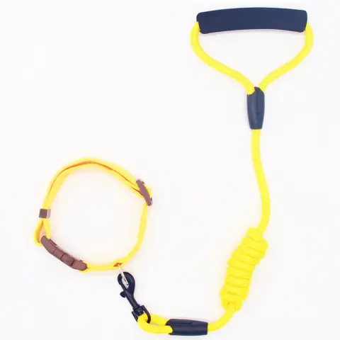 Pet Leash Dog Collar