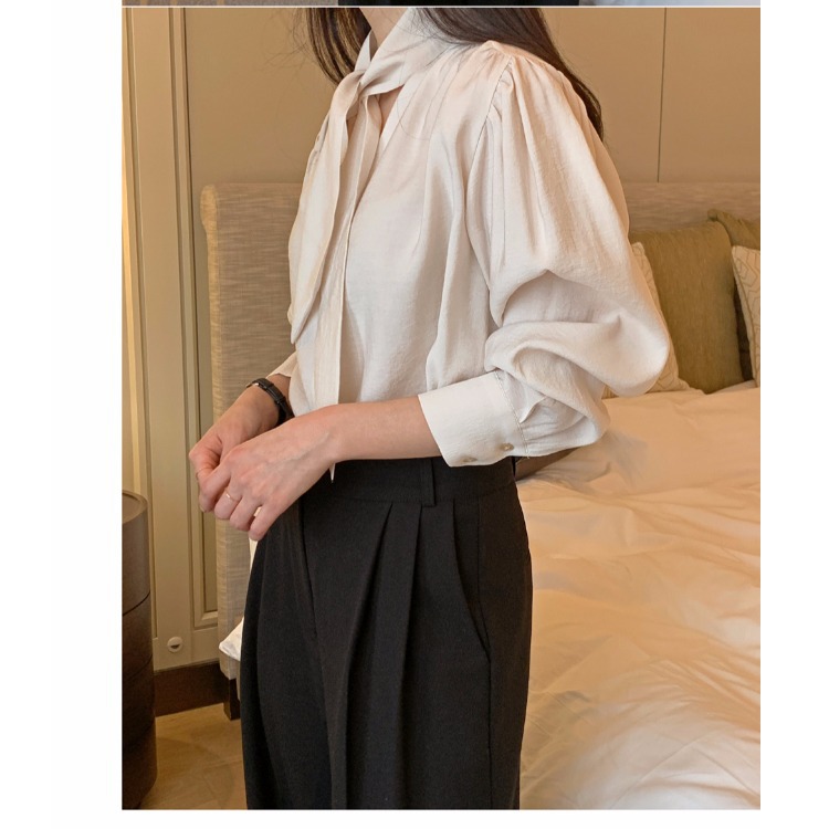 Minimalist Lace Puff Sleeve Long Sleeve Shirt Top