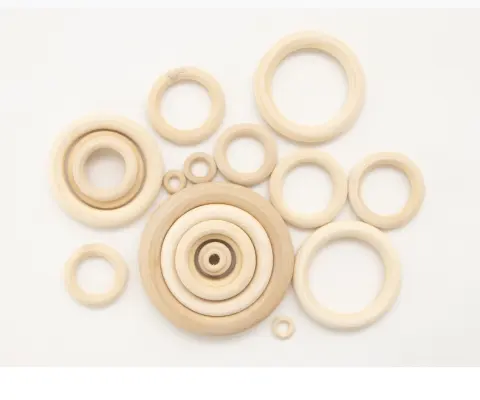 Jewelry with Rings and Bag Buckle