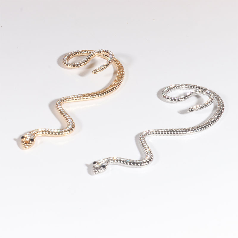 European And American Personality Cold Wind Snake Earrings