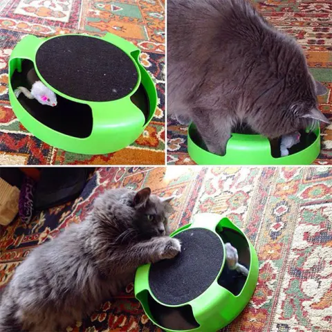 Mouse Cat Toy Top Cat Scratch Board Kitten Toy