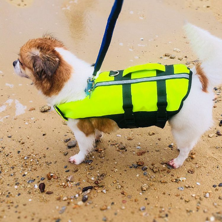 Title 6, Opblaasbaar reddingsvest voor honden van stof, ...