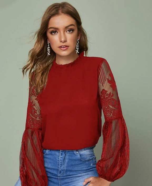 Pleated Collar Sheer Tulle Lace Lantern Sleeve Temperament Blouse