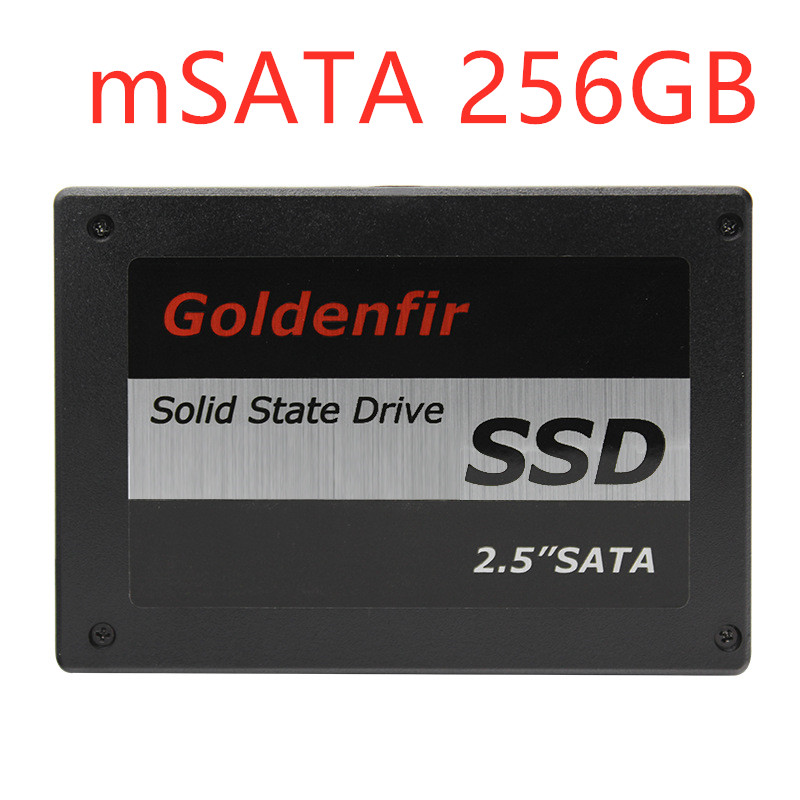 mSATA 256GB