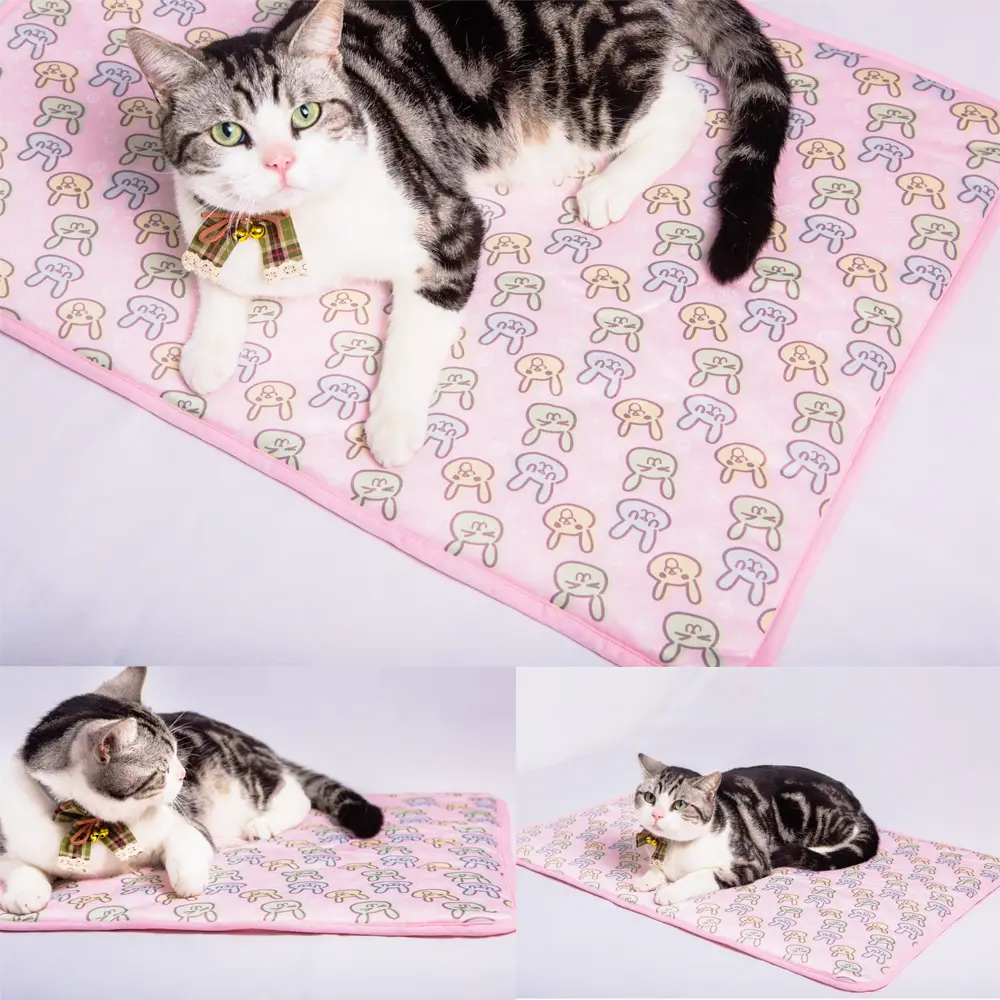 Estate Di Raffreddamento Stuoie Coperta Di Ghiaccio Pet Cane Stuoie Letto