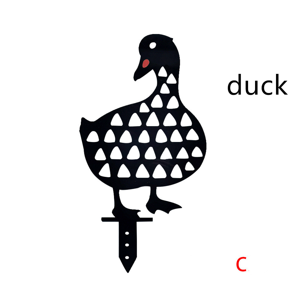 Duck C