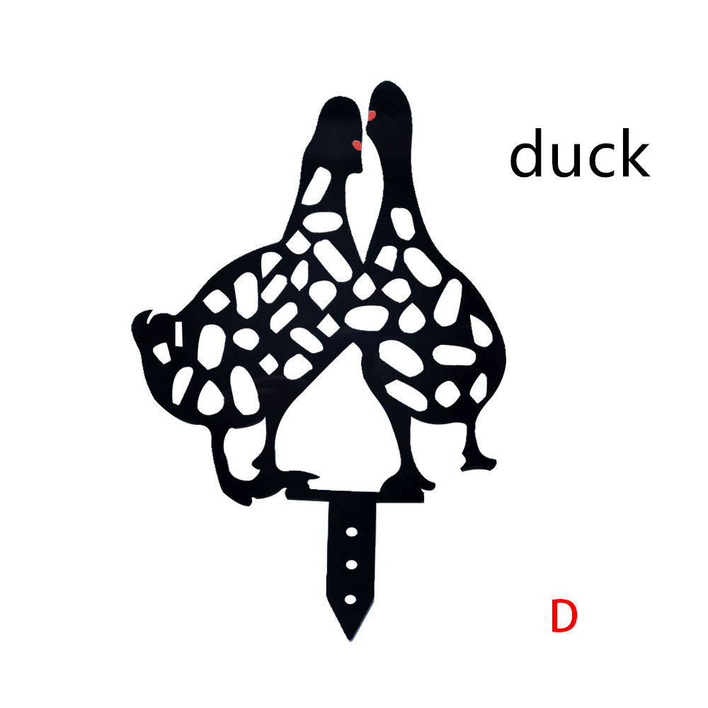 Duck D