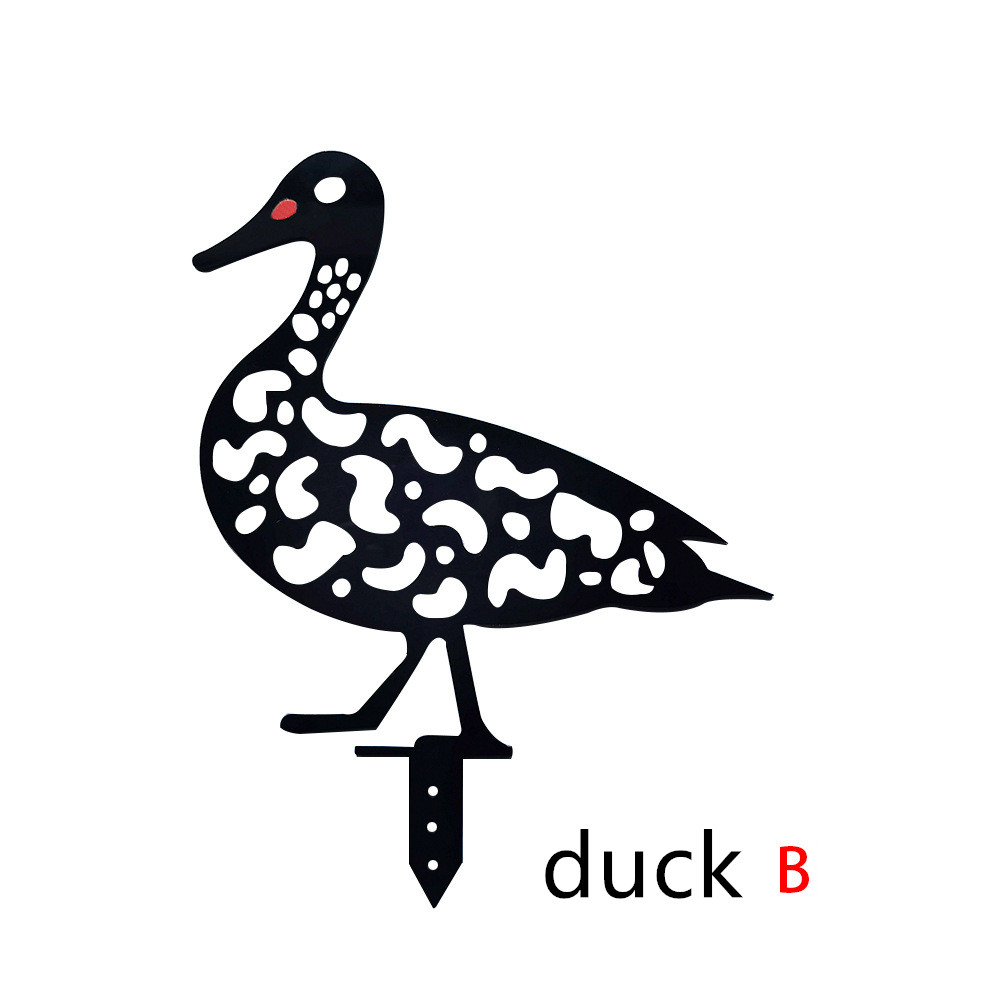 Duck B