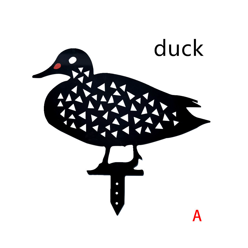 Duck A