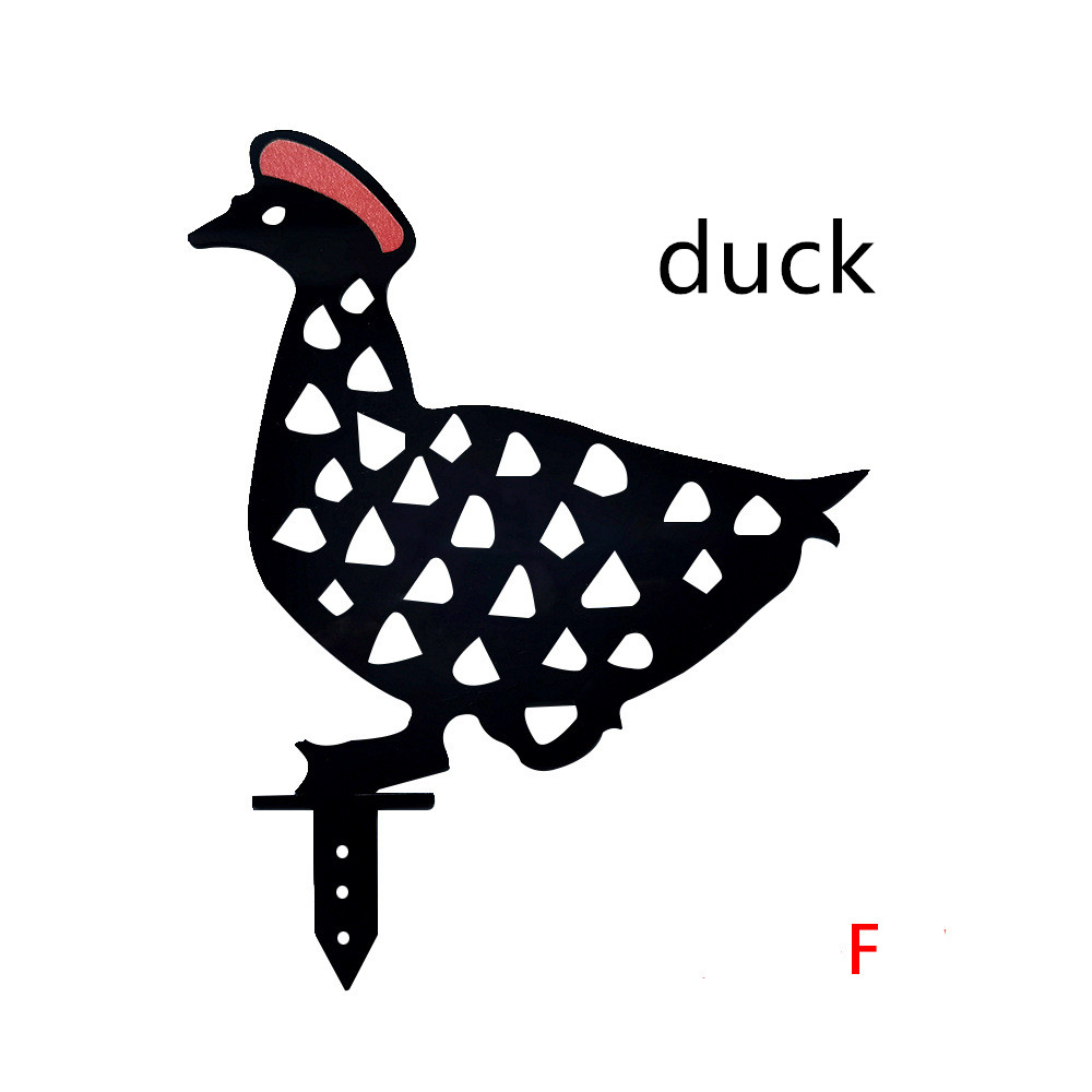 Duck F