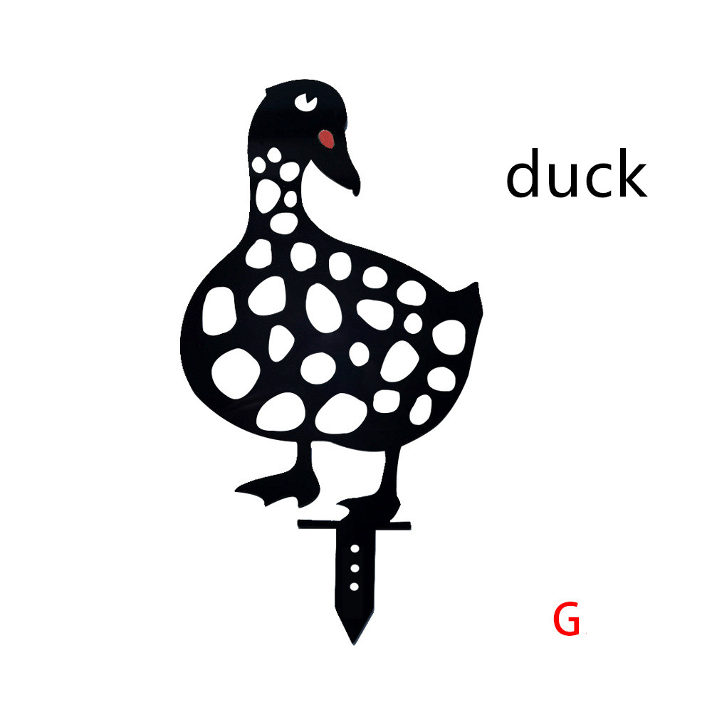 Duck G