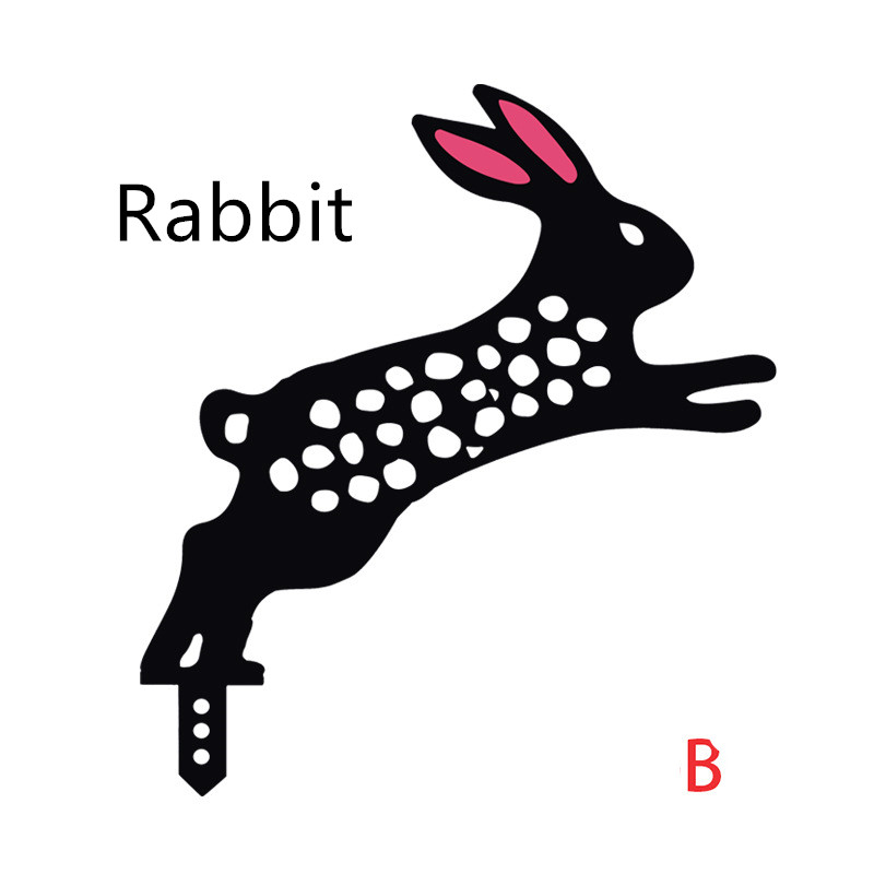 Rabbit B