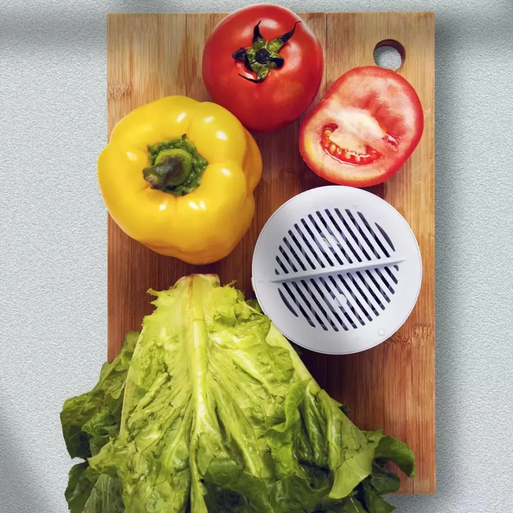 Food Material Purifier