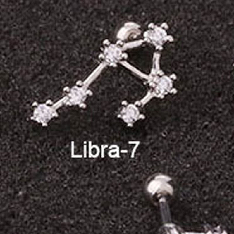 Creative Twelve Constellation Stainless Steel Zircon Earrings