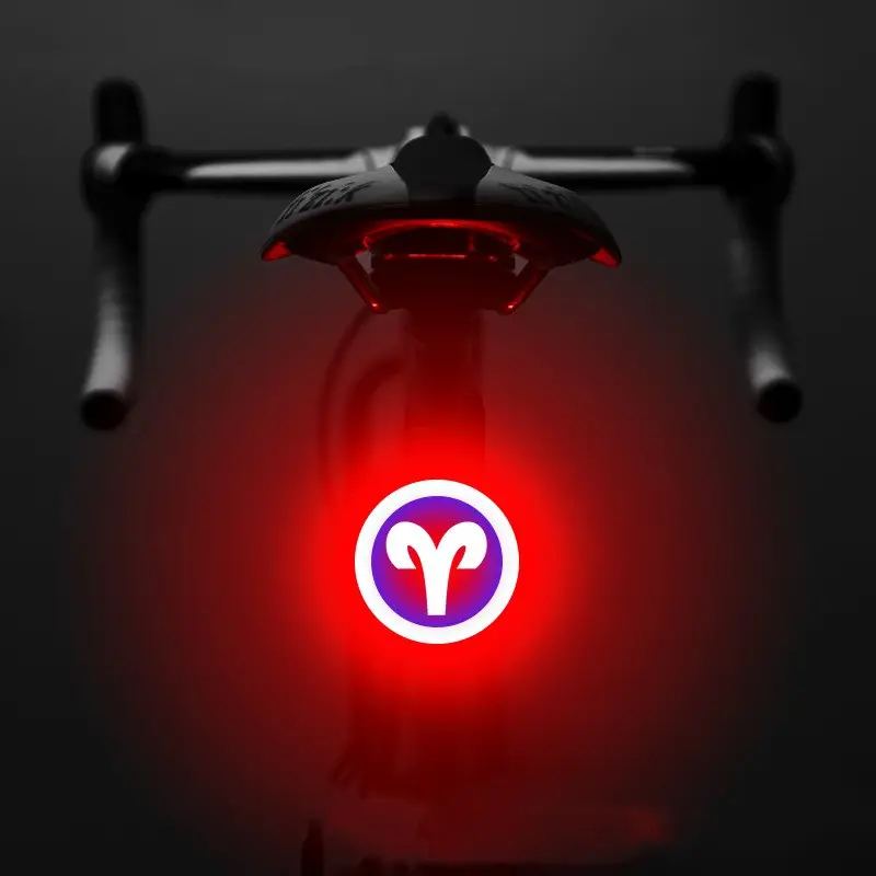 Bicycle Intelligent Auto Brake Sensor Light Waterproof LED Rechargeable
