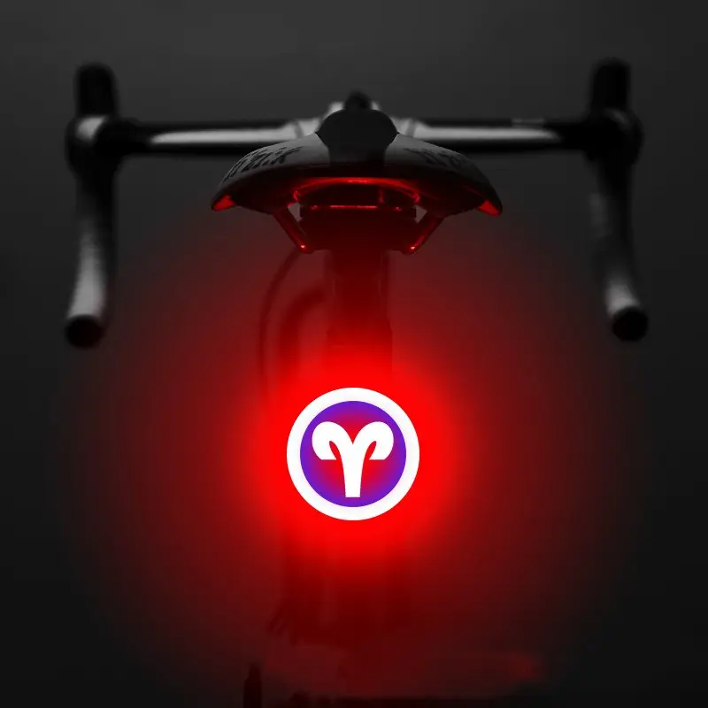 Bicycle Intelligent Auto Brake Sensor Light Waterproof