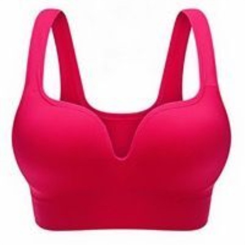 Title 2, Seamless Seamless Non-Wireless Sports Bra