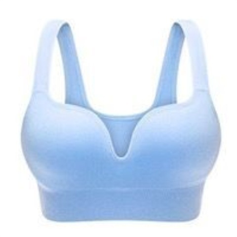 Title 3, Seamless Seamless Non-Wireless Sports Bra