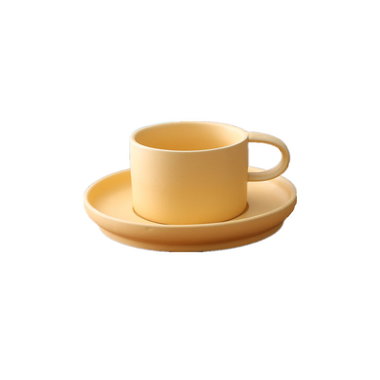 Macaron Matte Frosted Ceramic Coffee Cup and Saucer