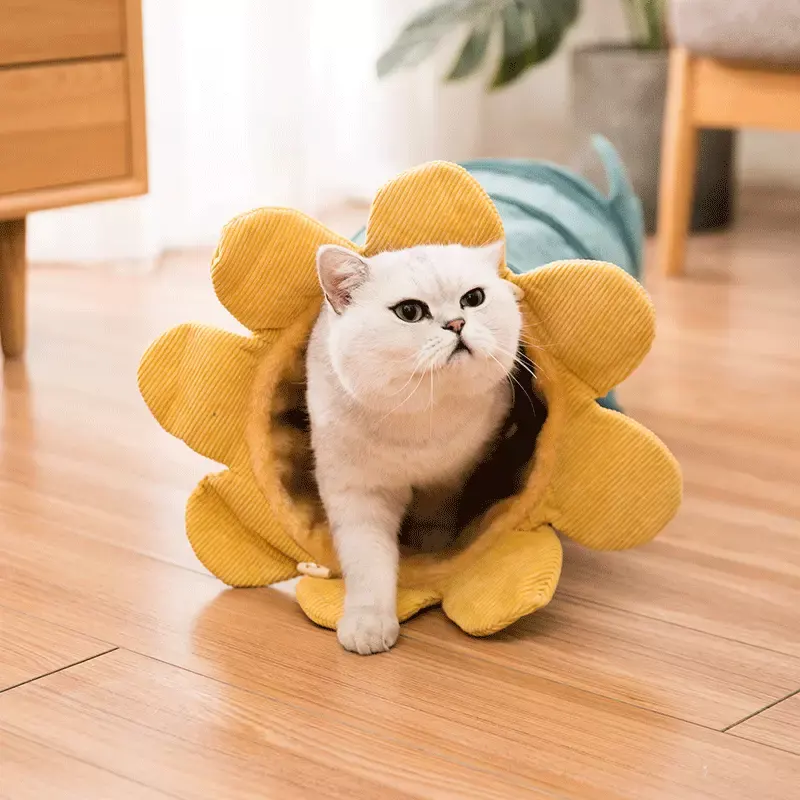 Creative Fruit Funny Pet Cat Tunnel Toys Puppy Ferrets