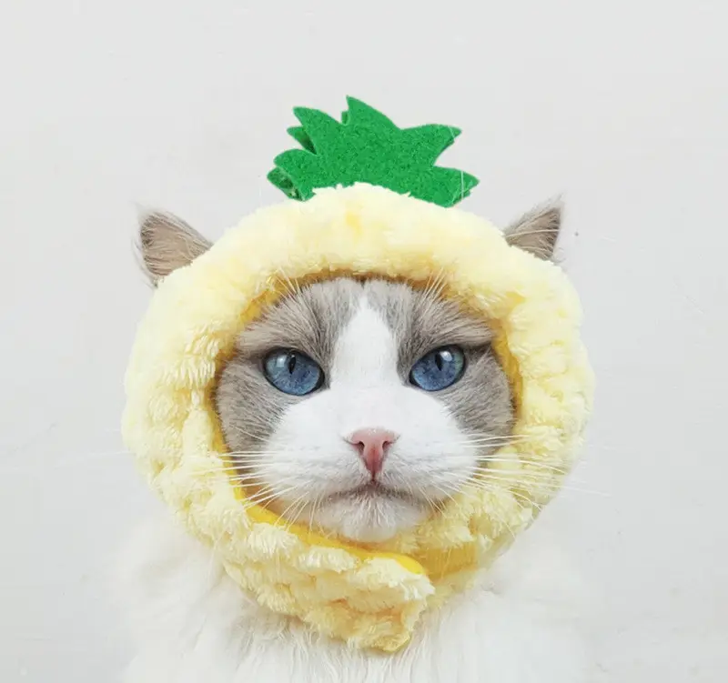 Cute Pineapple Cat Hat Warm Puppet Headdress