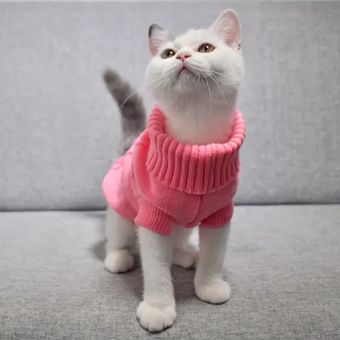 Warm Turtleneck Sweater for Hairless Sphynx Cats
