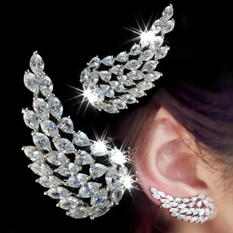 Brilliant Cubic Zirconia Angel Wings Stud Earrings for Women