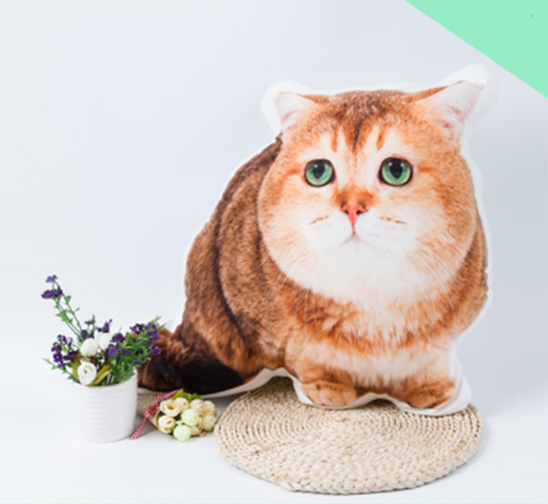 Diy Customized Pillow 3d Photos Customized Pet Pillow