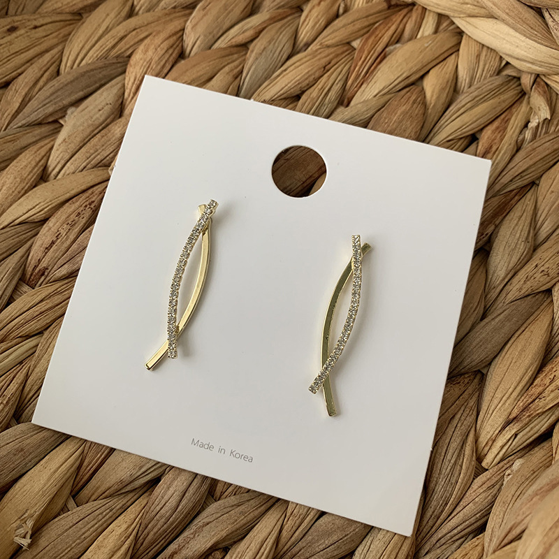 Staggered Fishtail Earrings Silver Needle Earrings Long